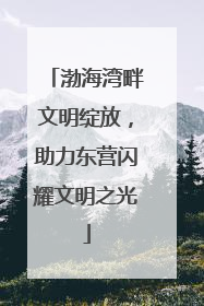 渤海湾畔文明绽放，助力东营闪耀文明之光